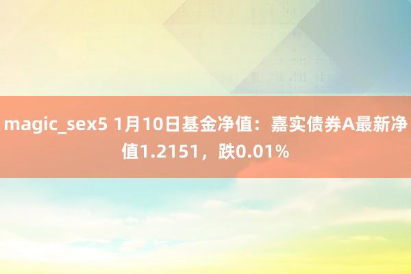 magic_sex5 1月10日基金净值：嘉实债券A最新净值1.2151，跌0.01%