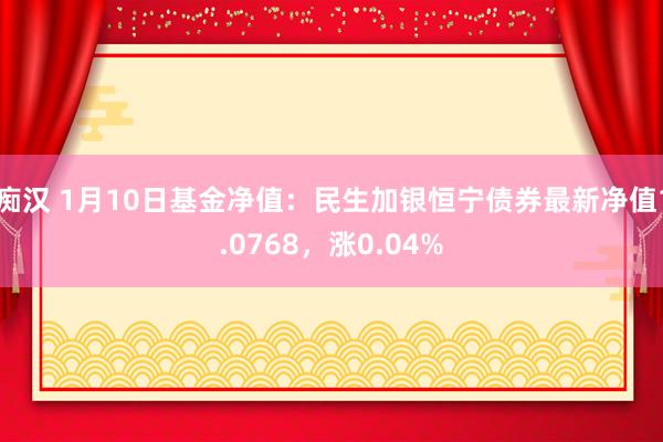 痴汉 1月10日基金净值：民生加银恒宁债券最新净值1.0768，涨0.04%