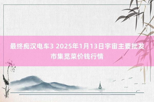 最终痴汉电车3 2025年1月13日宇宙主要批发市集苋菜价钱行情