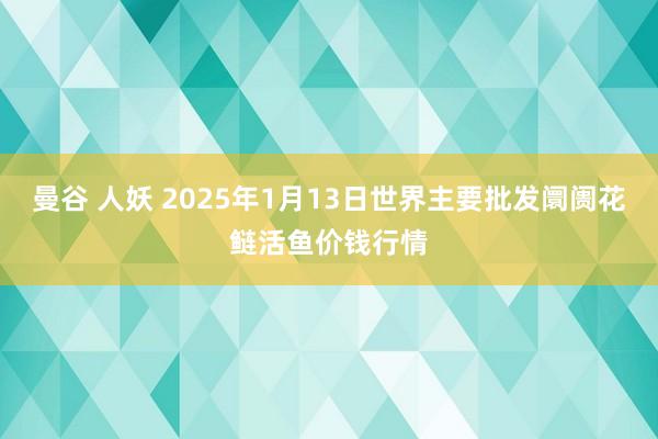 曼谷 人妖 2025年1月13日世界主要批发阛阓花鲢活鱼价钱行情