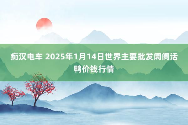 痴汉电车 2025年1月14日世界主要批发阛阓活鸭价钱行情