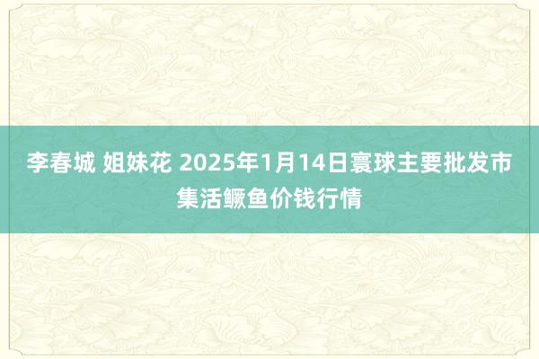 李春城 姐妹花 2025年1月14日寰球主要批发市集活鳜鱼价钱行情