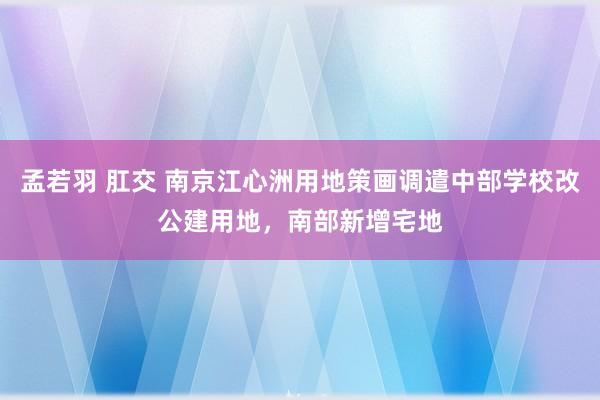 孟若羽 肛交 南京江心洲用地策画调遣中部学校改公建用地，南部新增宅地