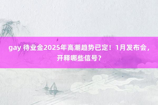 gay 待业金2025年高潮趋势已定！1月发布会，开释哪些信号？