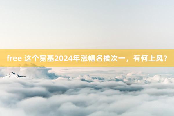 free 这个宽基2024年涨幅名挨次一，有何上风？