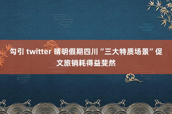 勾引 twitter 晴明假期四川“三大特质场景”促文旅销耗得益斐然