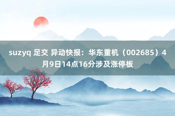 suzyq 足交 异动快报：华东重机（002685）4月9日14点16分涉及涨停板